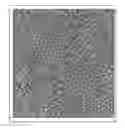 Fig. 01 - Deposition of calcium-phosphate (CaP) and calcium-phosphate with bone morphogenic protein (CaP+BMP) coatings on metallic and polymeric surfaces
