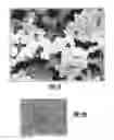 Fig. 06 - Deposition of calcium-phosphate (CaP) and calcium-phosphate with bone morphogenic protein (CaP+BMP) coatings on metallic and polymeric surfaces