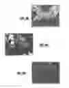 Fig. 07 - Deposition of calcium-phosphate (CaP) and calcium-phosphate with bone morphogenic protein (CaP+BMP) coatings on metallic and polymeric surfaces