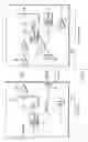 Fig. 06 - Memory card having memory device and host apparatus accessing memory card