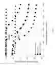 Fig. 04 - Systematic with serial concatenated parity code with varying inner or outer codes