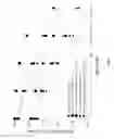 Fig. 05 - Systematic with serial concatenated parity code with varying inner or outer codes