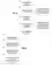 Fig. 04 - COLLABORATIVE ANNOTATION OF ELECTRONIC CONTENT