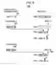 Fig. 09 - System for assisting input of dates in data processing system