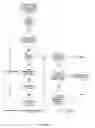 Fig. 21 - Patient information bar and method for tracking and displaying blood products