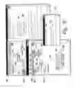 Fig. 10 - Traceability in a modeling environment