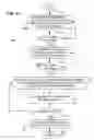 Fig. 11 - Phantom information commands