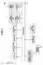Fig. 02 - Television Broadcasting Recording Apparatus