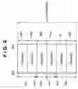 Fig. 10 - EPG generation apparatus, and EPG generation method