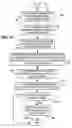 Fig. 15 - Metadata from image recognition