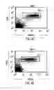 Fig. 09 - Transgenic mammals having human Ig loci including plural Vand V regions and antibodies produced therefrom