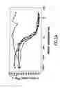 Fig. 18 - Transgenic mammals having human Ig loci including plural Vand V regions and antibodies produced therefrom