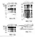 Fig. 30 - Transgenic mammals having human Ig loci including plural Vand V regions and antibodies produced therefrom