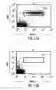 Fig. 33 - Transgenic mammals having human Ig loci including plural Vand V regions and antibodies produced therefrom