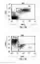 Fig. 35 - Transgenic mammals having human Ig loci including plural Vand V regions and antibodies produced therefrom