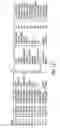 Fig. 37 - Transgenic mammals having human Ig loci including plural Vand V regions and antibodies produced therefrom