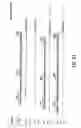 Fig. 42 - Transgenic mammals having human Ig loci including plural Vand V regions and antibodies produced therefrom