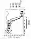 Fig. 52 - Transgenic mammals having human Ig loci including plural Vand V regions and antibodies produced therefrom