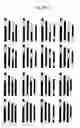 Fig. 08 - Near reverse breeding