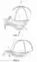 Fig. 05 - Curved bill