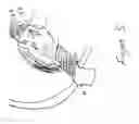 Fig. 06 - Hair care basin head support apparatus