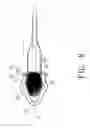 Fig. 11 - Cleaning brush cap