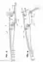 Fig. 04 - Wiper arm assembly having locking arms