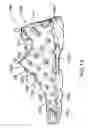 Fig. 13 - Shoe having an inflatable bladder