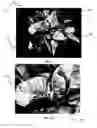 Fig. 02 - Decorative coatings for plants and plant materials