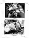 Fig. 03 - Decorative coatings for plants and plant materials