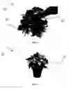 Fig. 08 - Decorative coatings for plants and plant materials