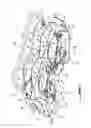 Fig. 06 - Plant clearing-grinding device