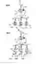 Fig. 09 - Method for production of a yarn by the assembly of several basic yarns subjected to a prior transformation and device for carrying out the same