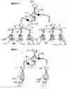 Fig. 10 - Method for production of a yarn by the assembly of several basic yarns subjected to a prior transformation and device for carrying out the same