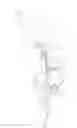 Fig. 02 - Device for securing a dispensing nozzle to a fill tank