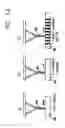 Fig. 18 - Nanotube-Based Nanoprobe Structure and Method for Making the Same