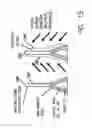 Fig. 19 - Nanotube-Based Nanoprobe Structure and Method for Making the Same