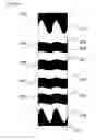 Fig. 09 - Scrunch-it earpiece / wire organizer and method of using same
