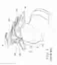 Fig. 06 - Nozzle device for a spray gun