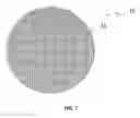 Fig. 02 - Soft shell practice golf ball