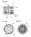 Fig. 23 - Brushless motor