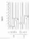 Fig. 17 - Memory circuit, semiconductor device and read control method of memory circuit