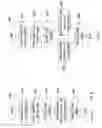 Fig. 08 - Adaptive Emission Frame Projection Display and Method