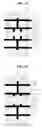 Fig. 12 - PLASMA DISPLAY APPARATUS AND METHOD OF DRIVING THE SAME