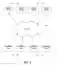 Fig. 07 - Network distributed physics computations