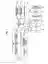 Fig. 02 - Method of driving liquid ejecting head and liquid ejecting apparatus