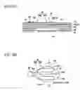 Fig. 06 - Inkjet head