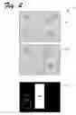 Fig. 03 - Cutout Effect For Digital Photographs