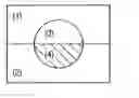 Fig. 01 - White balance correction including indicative white color determination based on regions in a divided image