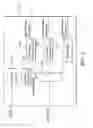 Fig. 06 - METHODS AND APPARATUSES FOR ADJUSTING DIGITAL VIDEO SIGNALS